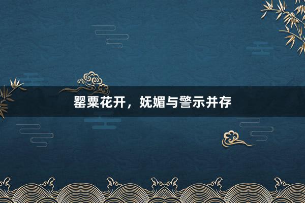 罂粟花开，妩媚与警示并存
